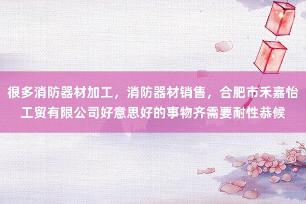 很多消防器材加工,消防器材销售,合肥市禾嘉怡工贸有限公司好意思好的事物齐需要耐性恭候