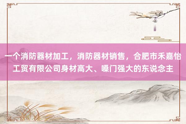 一个消防器材加工，消防器材销售，合肥市禾嘉怡工贸有限公司身材高大、嗓门强大的东说念主